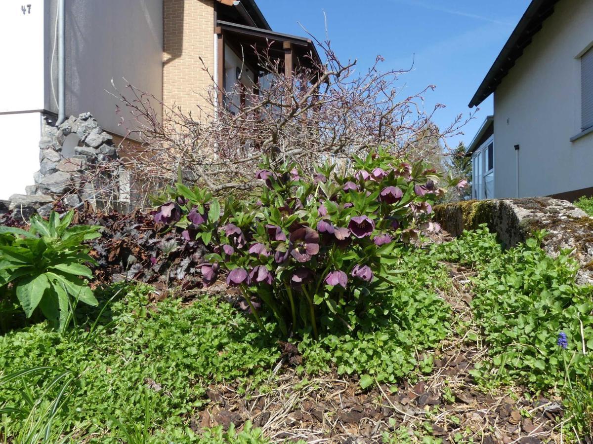 Ferienwohnung Schanbacher Oberzent Buitenkant foto